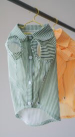The Preppy Paws - The Dapper Shirt - Image 7