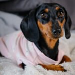 Polar Bear – Snuggle Pyjamas