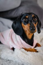 Polar Bear – Snuggle Pyjamas