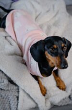 Polar Bear – Snuggle Pyjamas - Image 9