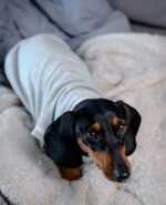 Minty Polka Dots - Snuggle Pyjamas - Image 11