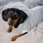 Minty Polka Dots - Snuggle Pyjamas