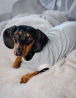 Minty Polka Dots - Snuggle Pyjamas