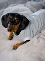 Minty Polka Dots - Snuggle Pyjamas - Image 5