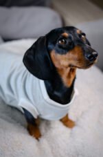 Minty Polka Dots - Snuggle Pyjamas - Image 4