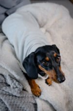 Minty Polka Dots - Snuggle Pyjamas - Image 6