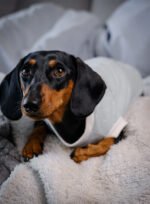 Minty Polka Dots - Snuggle Pyjamas - Image 7