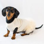 The Ballerina Rib Dress