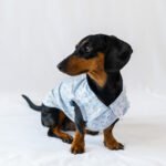 The Botanical Garden - Sleeveless Shirt