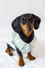 The Botanical Garden - Sleeveless Shirt - Image 2