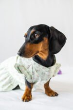 The Botanical Garden - Dress - Image 2