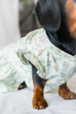 The Botanical Garden - Dress - Image 5