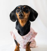 The Botanical Garden - Dress - Image 4