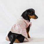 The Botanical Garden - Dress