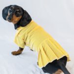 The Preppy Paws - Pleated Dress