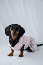 Petal Pop Dress - Image 2