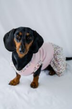 Petal Pop Dress - Image 4