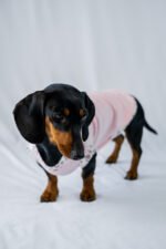 Petal Pop Shirt - Image 3