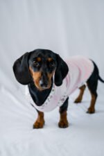 Petal Pop Shirt - Image 4