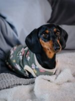 Forest – Snuggle Pyjamas - Image 2