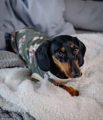 Forest – Snuggle Pyjamas - Image 6