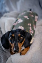 Forest – Snuggle Pyjamas - Image 5