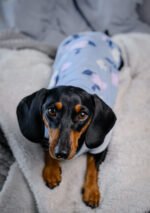 Midnight – Snuggle Pyjamas - Image 2