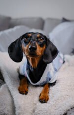 Midnight – Snuggle Pyjamas - Image 9