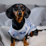 Midnight – Snuggle Pyjamas