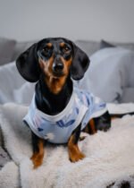 Midnight – Snuggle Pyjamas