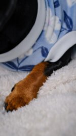 Midnight – Snuggle Pyjamas - Image 5