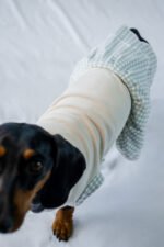 Minty Picnic Dress - Image 2