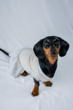 Minty Picnic Dress - Image 4