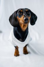 Minty Picnic Shirt - Image 2