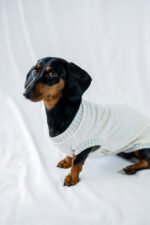 Minty Picnic Shirt - Image 7