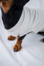 Minty Picnic Shirt - Image 5