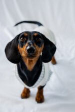 Minty Picnic Shirt - Image 6