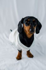 Minty Picnic Shirt - Image 3