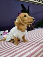 Minty Picnic Dress - Image 12